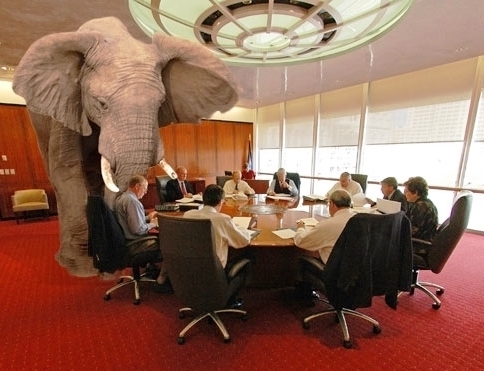 elephant-in-the-room1 2.jpg