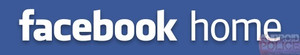 Facebooknexusae0_logo_facebook_home