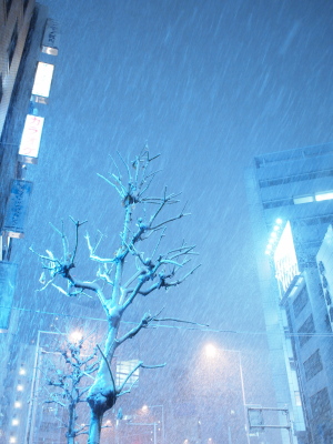青山で雪