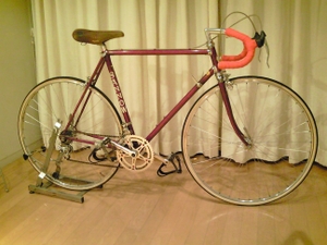 Sannow_bicycle08