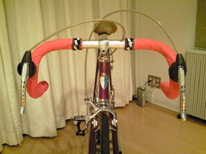 Sannow_bicycle09