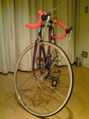 Sannow_bicycle10
