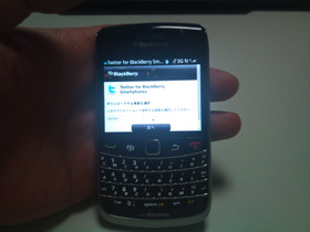 Blackberrybold970005