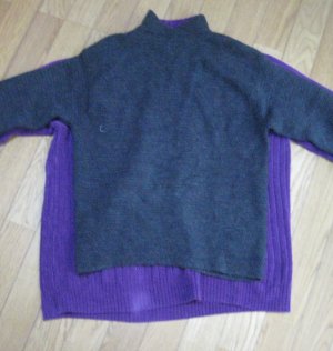 Sweater2010121102