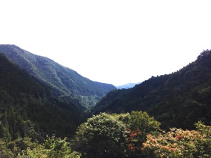 檜原村の風景2