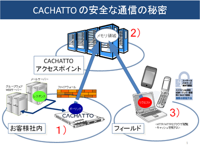 Cachatto_systemchart