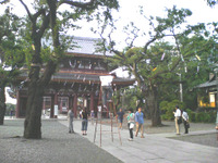 P1000021a_3