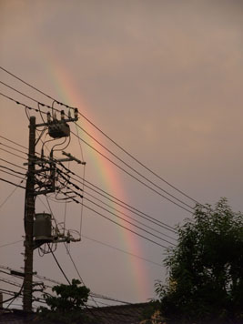 電線の向こうに立ち上がる虹