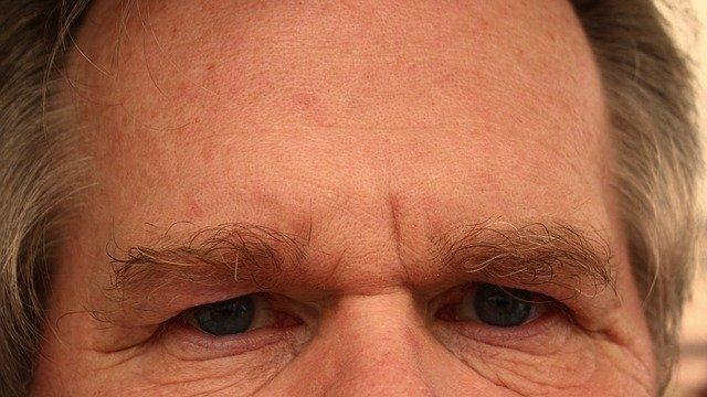 forehead-65059_640.jpg
