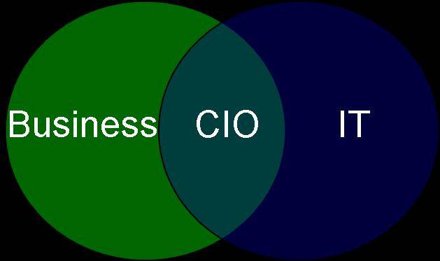 CIO Characteristics.jpg