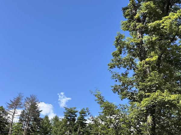 IMG_9545.jpeg