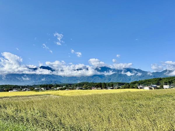 IMG_9621.jpeg
