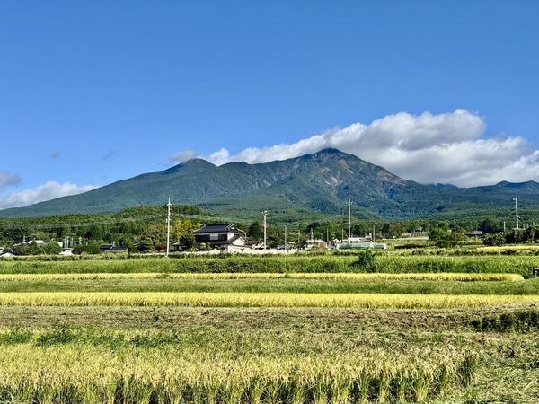 IMG_9625.jpeg