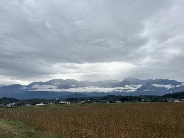 IMG_9754.jpeg