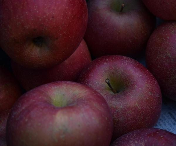 apple_12001000.JPG