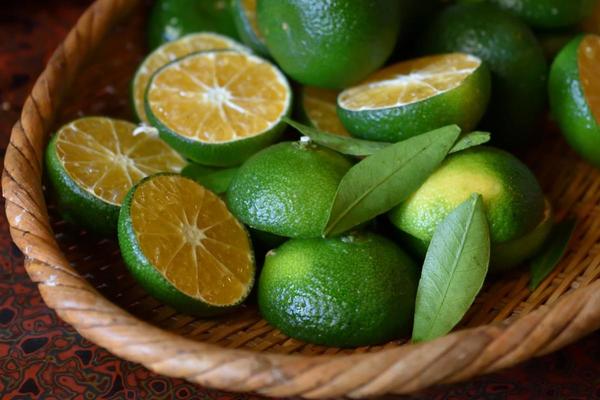 citrus_1200800.JPG