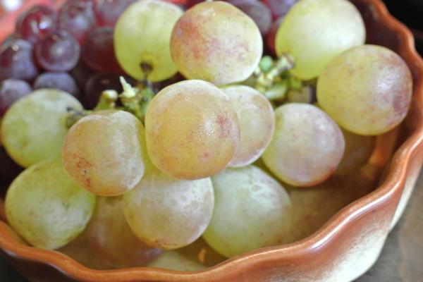 raisin_1200800.JPG