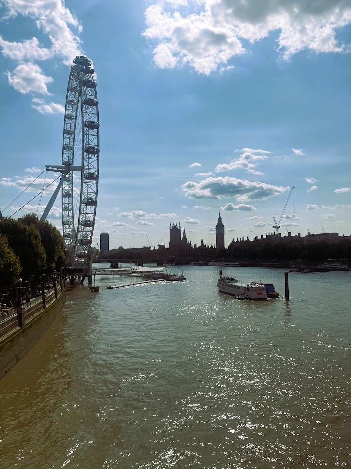 london eyeIMG_5121.jpg