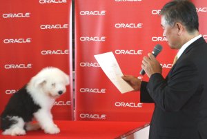 Oracle20101001