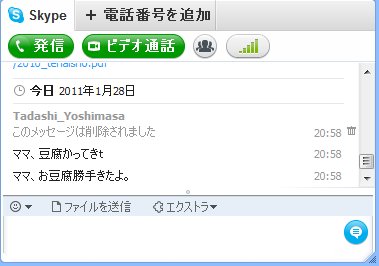 Skype20110101