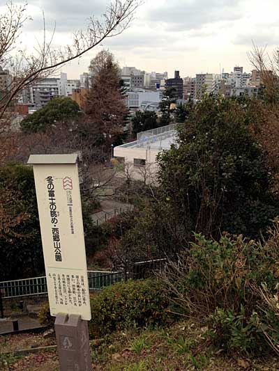 120120saigoyama