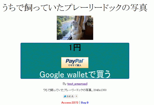 Google_wallets_01
