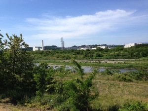 Tamagawa2