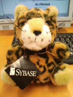 Sybase