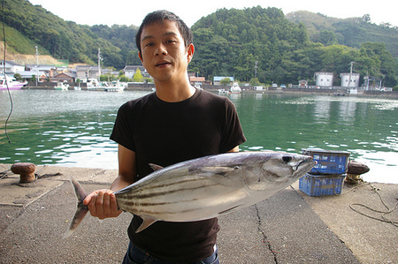 Katsuo