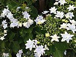 20130606_6_08_29