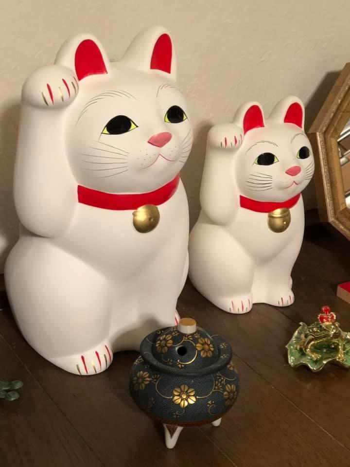美品 豪徳寺 招き猫 大 豪徳寺の招き猫とうとう8号になりました。：吉政忠志のベンチャー
